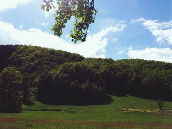 Scenic view of grassy field against cloudy sky