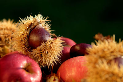 Close-up of fruits and chestnuts on table