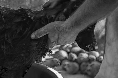 Midsection of man bathing dog