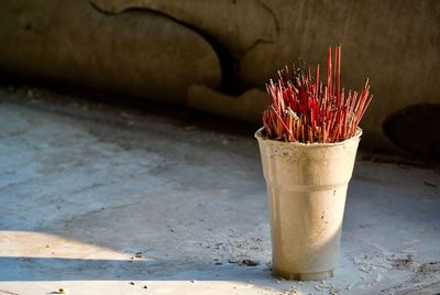 Close-up of potted plant in container