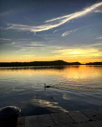 Bird flying over calm lake at sunset