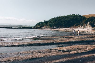 Scenic view of beach