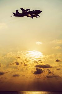 Silhouette of bird flying over sea at sunset