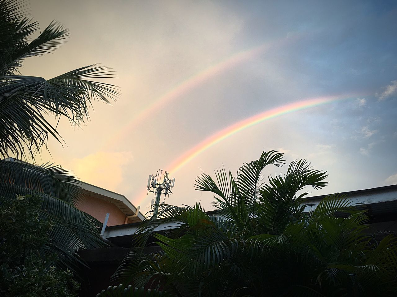 SCENIC VIEW OF RAINBOW OVER TREES