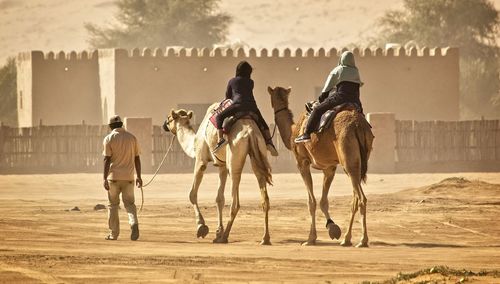 People riding horses