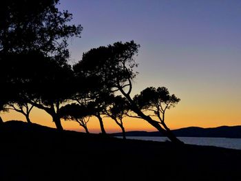 Silhouette trees against sky during sunset