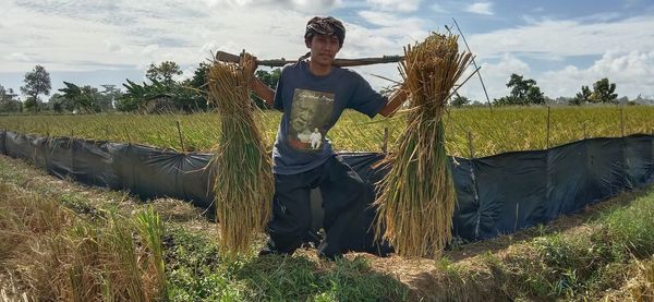 agriculture