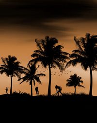 Silhouette palm trees against sky during sunset