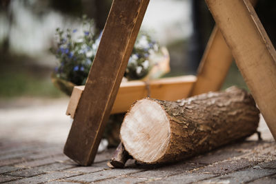 Close-up of logs in forest