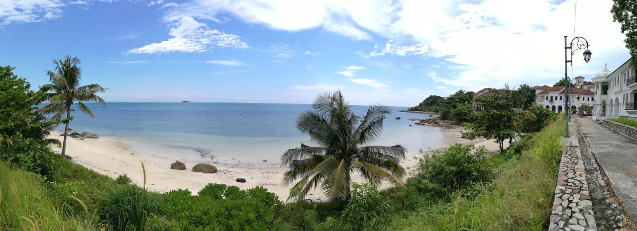 sea, palm tree, tree, sky, beach, sunlight, nature, growth, horizon over water, tranquility, cloud - sky, water, travel destinations, plant, day, outdoors, scenics, sand, no people, beauty in nature, postcard