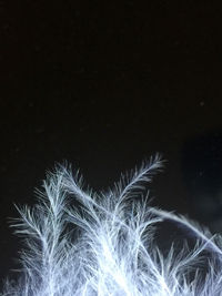 View of fire against black background