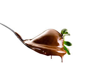 Close-up of ice cream against white background