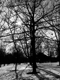 Bare trees on snow field against sky during winter
