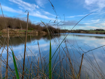 Scenic view of lake against sky