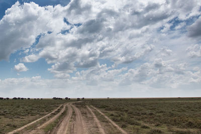 Tire tracks on road amidst field against sky