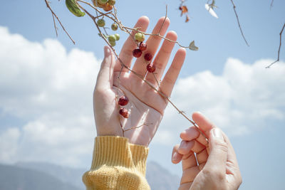 Low angle view of person holding apple against sky