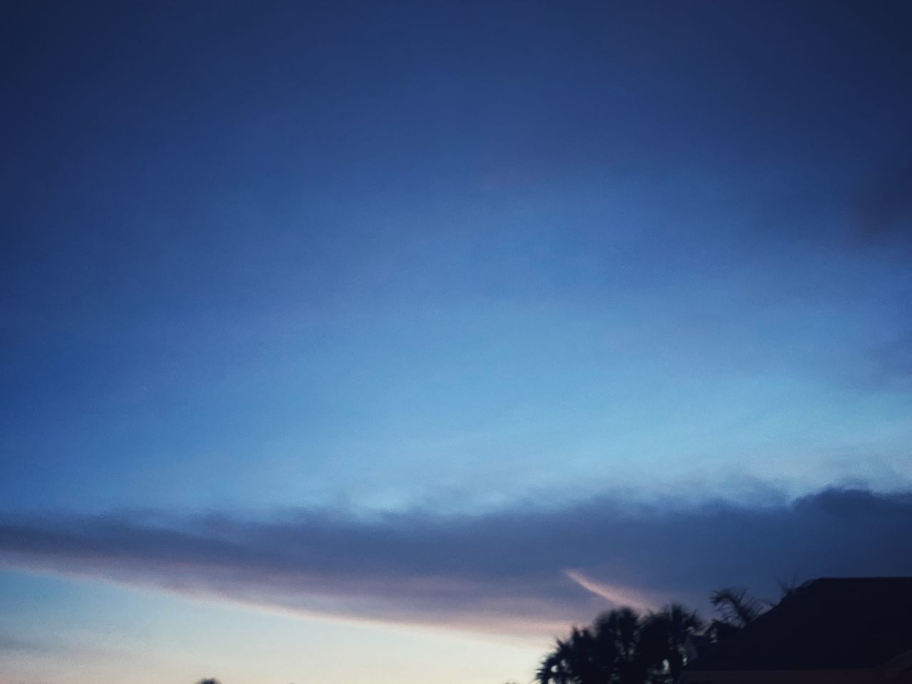 LOW ANGLE VIEW OF SILHOUETTE TREES AGAINST BLUE SKY