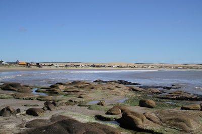 Scenic view of beach against clear blue sky