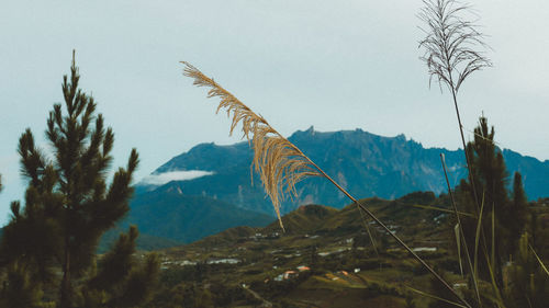 Panoramic view of landscape against sky