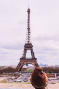 View of tower against cloudy sky