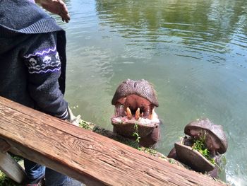 Low section of man with legs in water