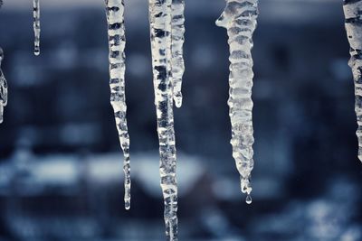 Close-up of icicles