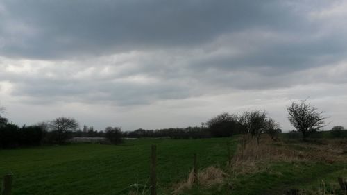 Scenic view of grassy field against cloudy sky