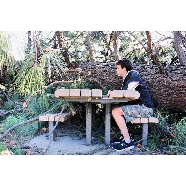 tree, full length, lifestyles, leisure activity, casual clothing, rear view, sitting, bench, growth, branch, tree trunk, standing, plant, men, transfer print, day, childhood, relaxation