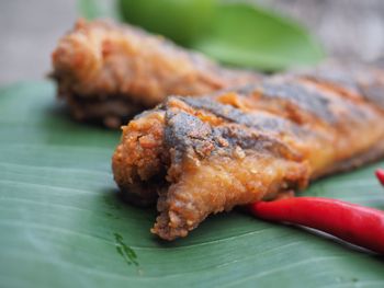 Close-up of meat on plate