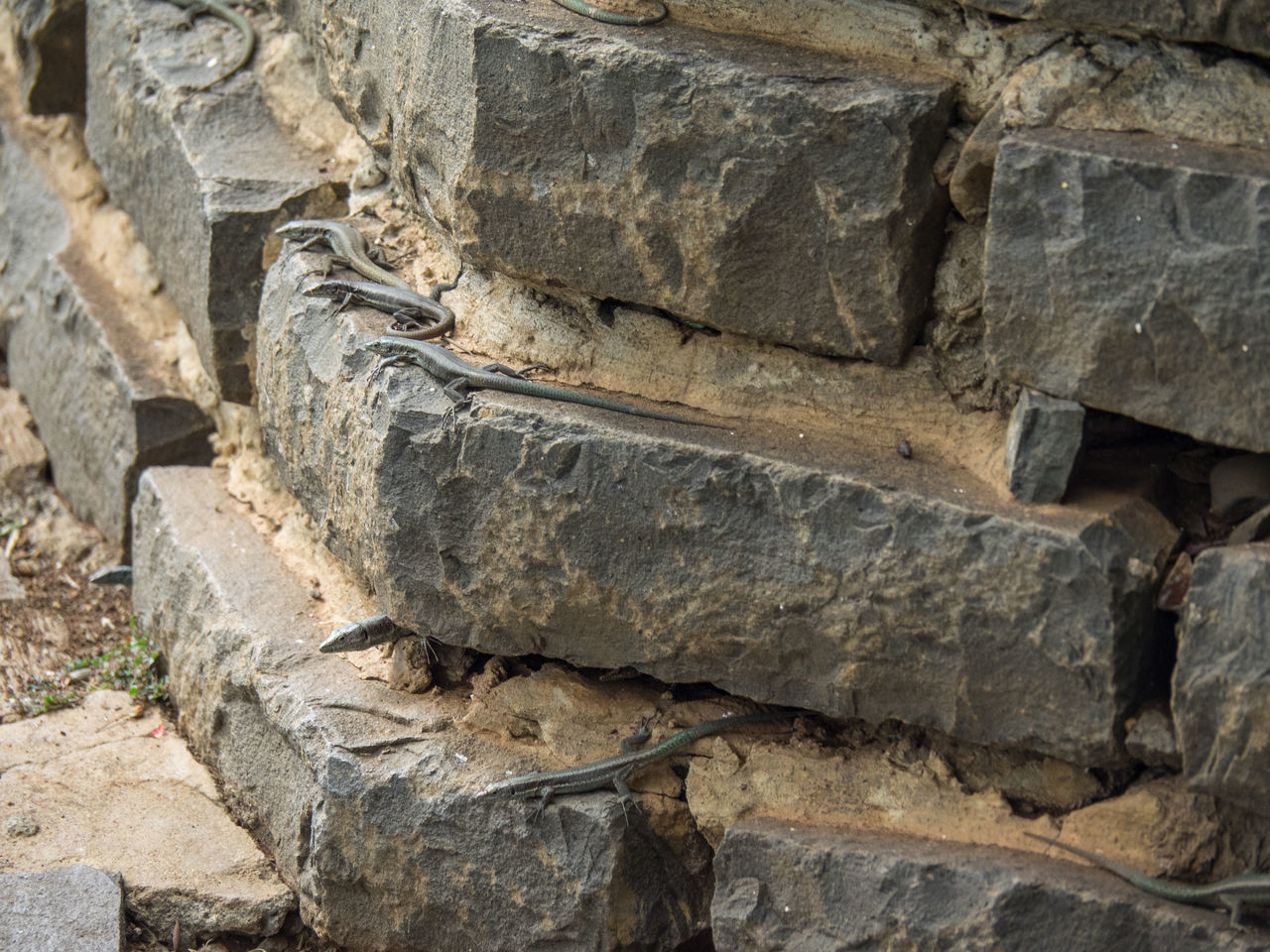 CLOSE-UP OF BRICK WALL