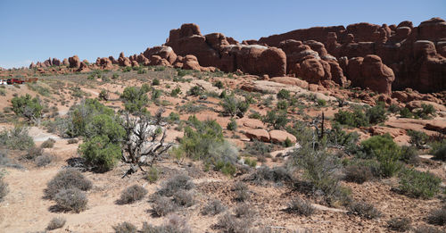 Rock formations on landscape