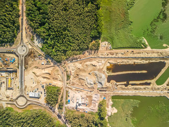 High angle view of road passing through plants