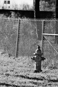 Fence on grassy field