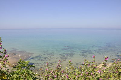 Scenic view of sea against clear sky