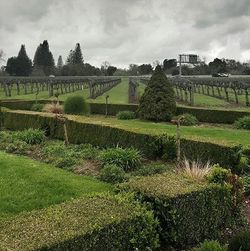 Scenic view of grassy field against cloudy sky