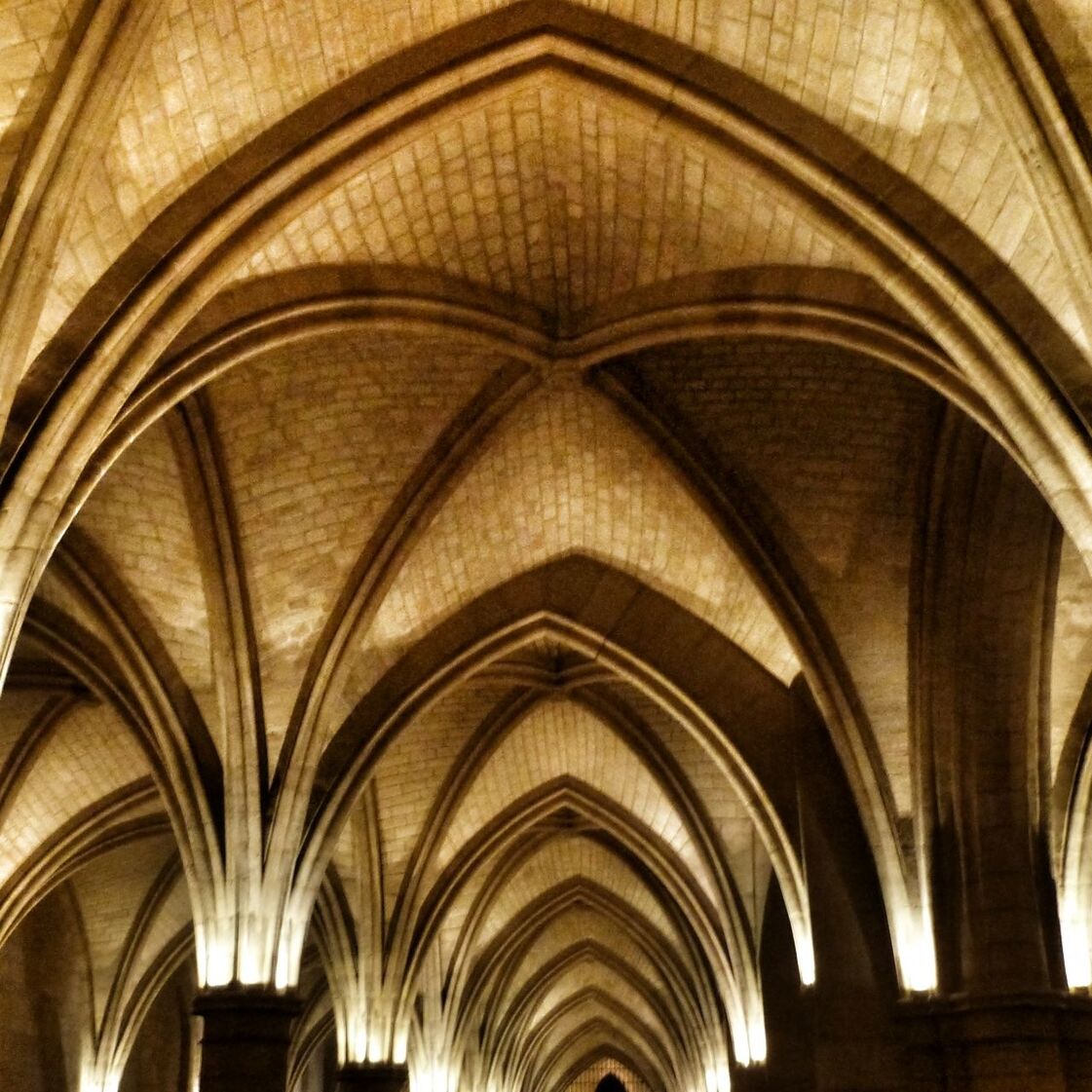 arch, indoors, architecture, built structure, ceiling, low angle view, interior, history, religion, place of worship, church, architectural feature, architectural column, spirituality, window, ornate, design, no people