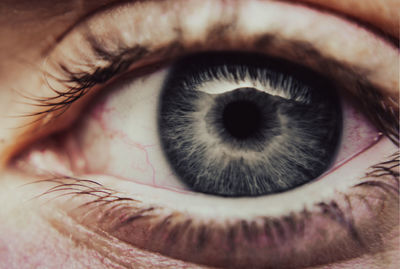 Close-up of human eye