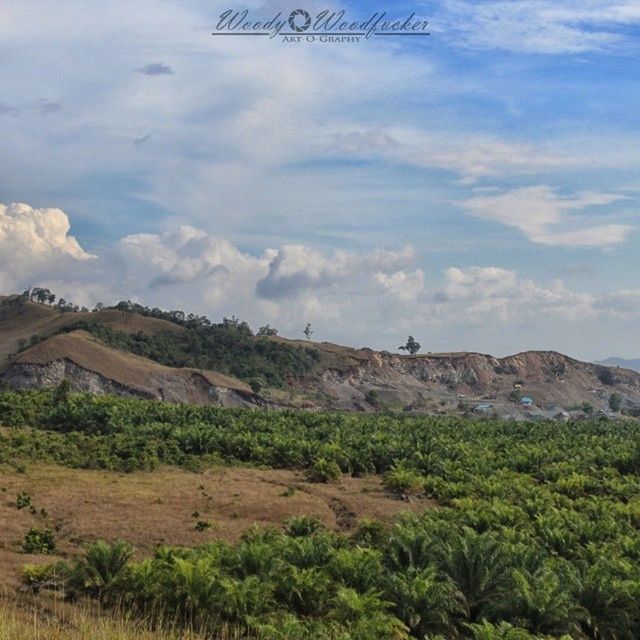 VIEW OF LANDSCAPE AGAINST CLOUDY SKY