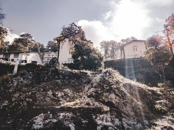 Low angle view of trees and buildings against sky