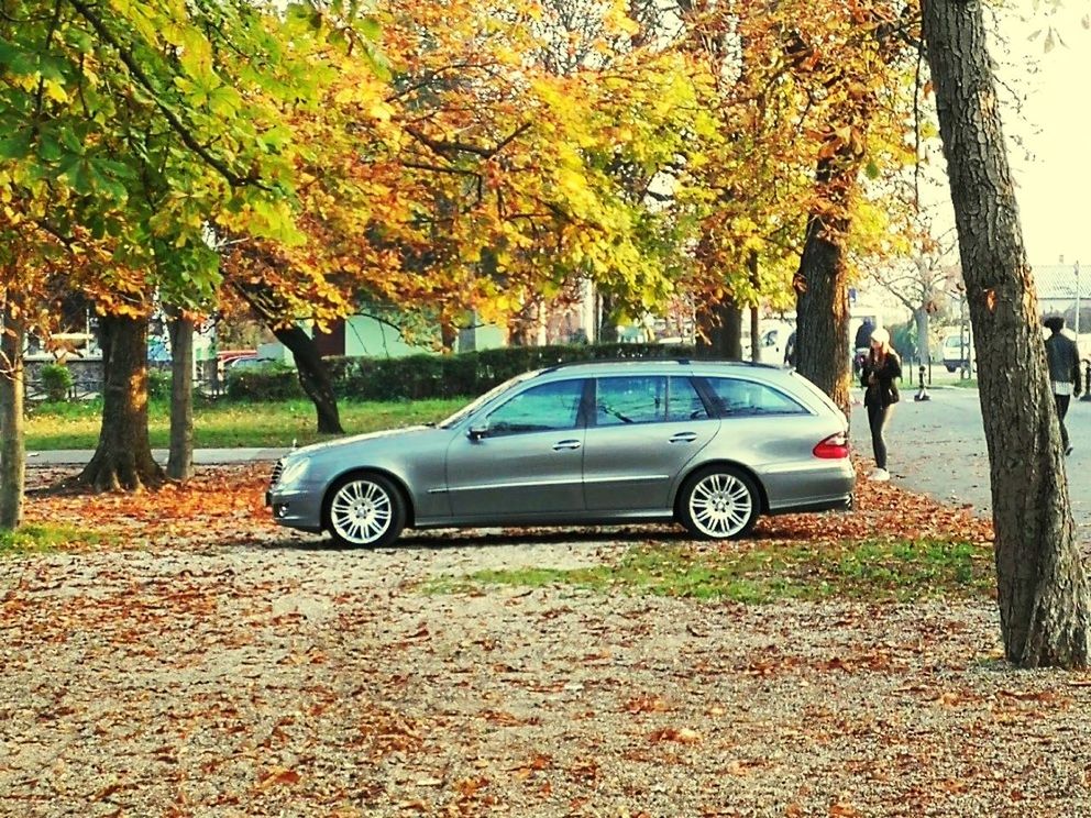 car, autumn, mode of transportation, change, motor vehicle, tree, transportation, plant, plant part, nature, leaf, land vehicle, day, real people, outdoors, orange color, full length, growth, land, people, leaves
