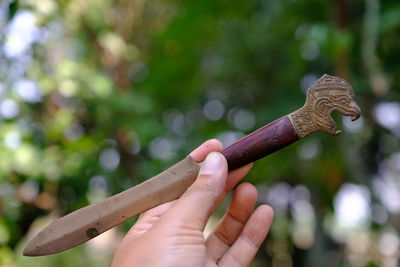 Close-up of hand holding plant against blurred background