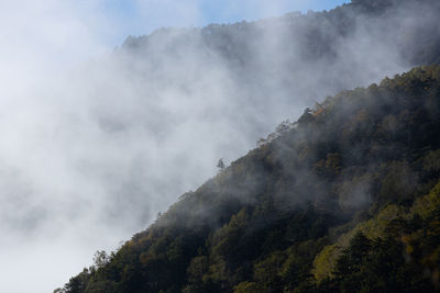 Scenic view of fog against sky