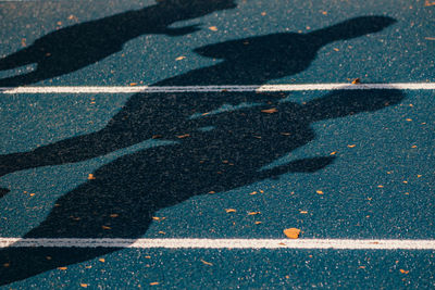 Close-up of shadows on ground