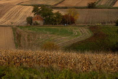 Scenic view of agricultural field in autumn 