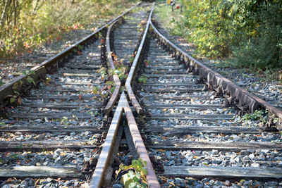 High angle view of railroad tracks in forest