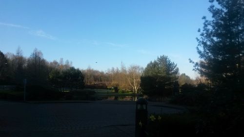 Silhouette of trees against blue sky