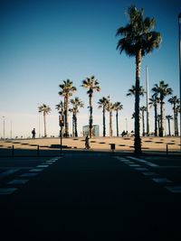 Palm trees on beach against clear sky