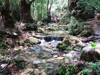 Scenic view of waterfall