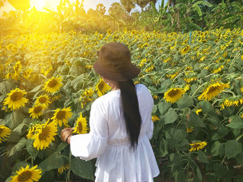 Rear view of woman standing by sunflower plants