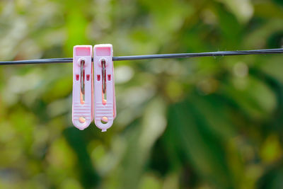 Close-up of clothespins hanging on rope